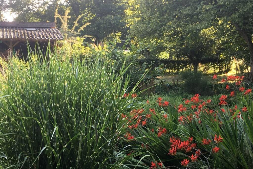 Gemuetliches Nest Fuer Zwei Personen Zum Ausspannen Beverstedt Экстерьер фото